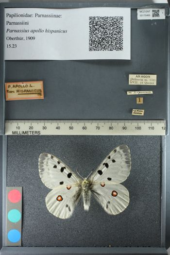 Media type: image;   Entomology 175465